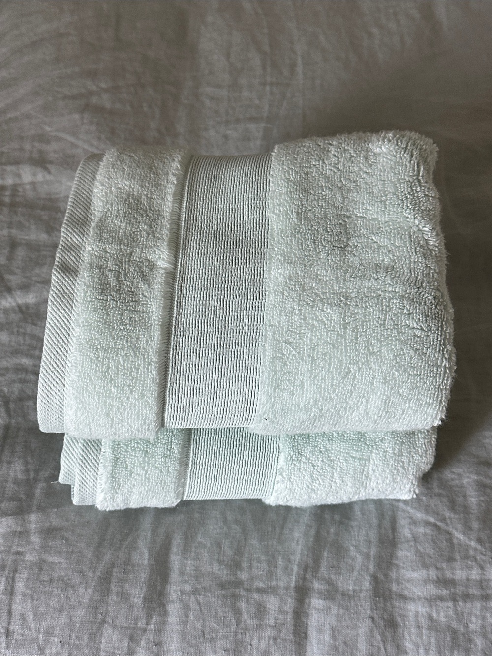 Quince Light Mint Hand Towels - Soft Plush Set